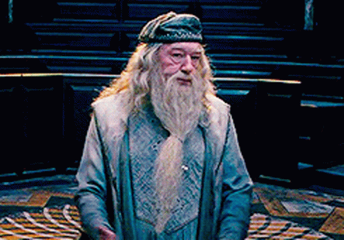 Dumbledore standing with hands on hips, giving a disapproving look.