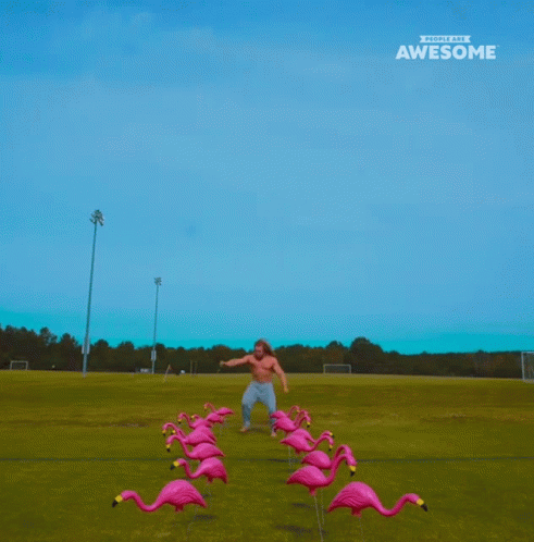 A ripped bodybuilder fiercely kicks a flock of flamingos with intense frustration.